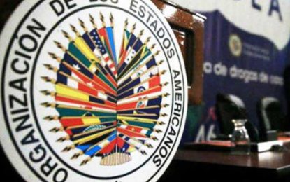 ¿Para qué sirve la OEA?