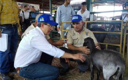 Plan Integral Caprino Ovino para el estado Yaracuy busca diversificar la economía del país