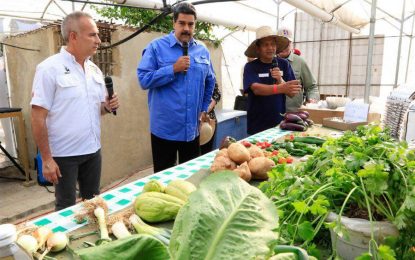 16 billones fueron aprobados por el Presidente Nicolás Maduro para el Plan Nacional AgroUrbano 2018