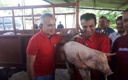 PSUV inicia plan piloto productivo en zona Sur del estado Táchira