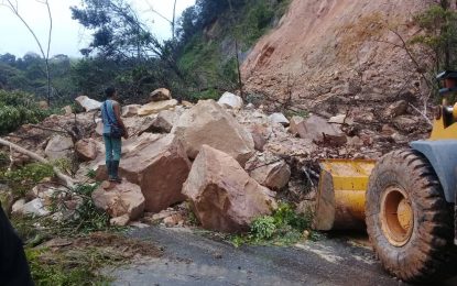 Freddy Bernal: “Estamos trabajando para restituir el paso en la Troncal 005”