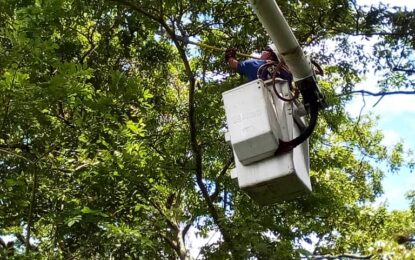 Corpoelec-Táchira arregla líneas en media tensión del municipio Rafael Urdaneta