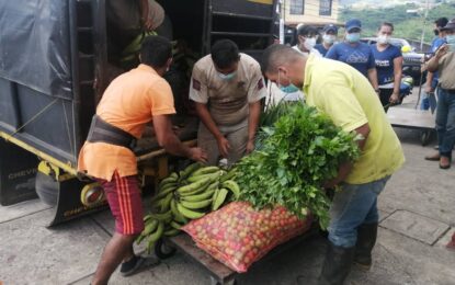 Protectorado del Táchira entregó más de 6.2 toneladas de verduras y hortalizas