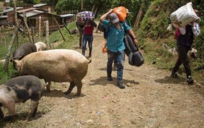 Crece crisis humanitaria en el sur de Colombia