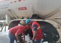 Gas Táchira sigue recuperando flotas primarias