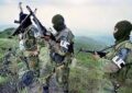 Colombia: Disidencias de la FARC aceptan cese al fuego propuesto por el Gobierno de Petro