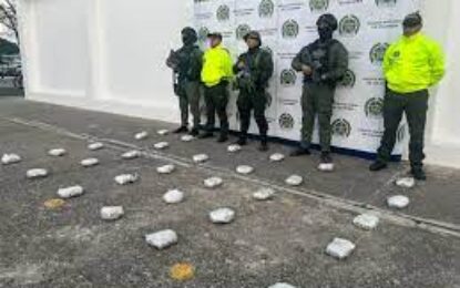 Operación sorpresa: 30 kilos de base de coca fueron incautados en Sardinata, Norte de Santander