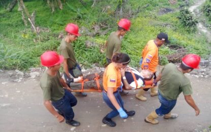 Accidentes de tránsito disminuyen en un 50%