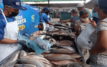 Insopesca llevará a 6 puntos del Táchira el Operativo “Venezuela come Pescado”