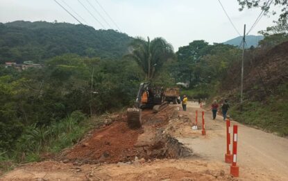 Solo hay paso peatonal por El Palmar de La Copé