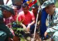 Más de 72 mil árboles sembrarán en Táchira con el Plan Nacional de Reforestación
