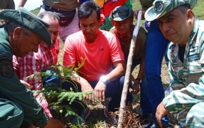 Más de 72 mil árboles sembrarán en Táchira con el Plan Nacional de Reforestación