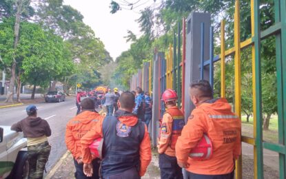 Inspeccionan labores preventivas de tala de árboles en la Avenida 19 de Abril