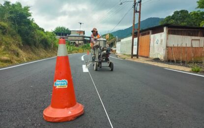 En ejecución demarcación vial en el Palmar de la Copé