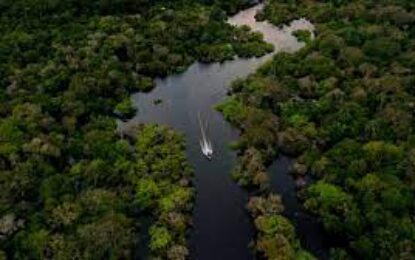 Colombia y Brasil destruyen dragas de oro ilegales en la selva amazónica
