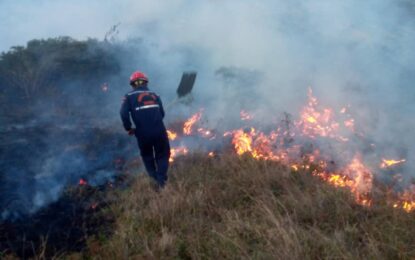 Incendios en el Táchira sobrepasan las cifras históricas