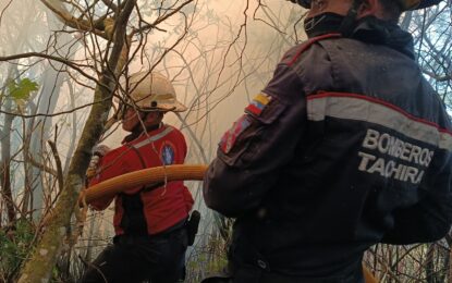Ascienden a 184 hectáreas las consumidas por incendios de vegetación en el Táchira