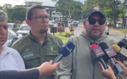 Sembrarán 4 mil árboles policromáticos en San Cristóbal