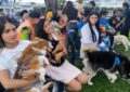 Más de 150 mascotas asistidas en Festival Animalista de La Fría