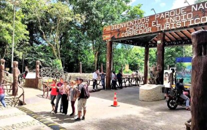 Parque Chorro El Indio se encamina como destino para el  Aviturismo