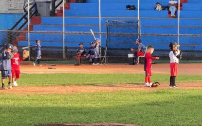 Béisbol tachirense se prepara para campeonato estadal