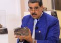 Hallan en Venezuela primer fósil de ictiosaurio de 100 millones de años