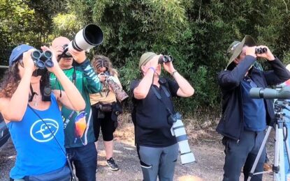 Táchira con potencial para el desarrollo del turismo de avistamiento de aves por su biodiversidad