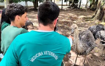 Bachilleres tachirenses contarán con la carrera de Medicina Veterinaria, nueva oferta académica