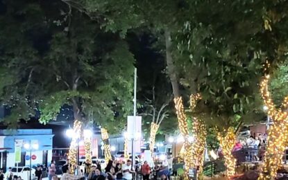 Inicia la navidad en Táchira con encendido de luces en la avenida España